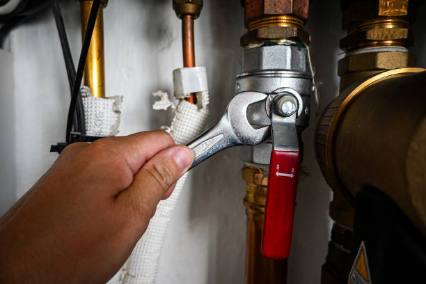 Best Plumbing Services Near Me  in Wortham, TX